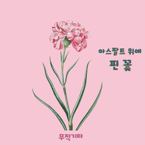 아스팔트 위에 핀 꽃