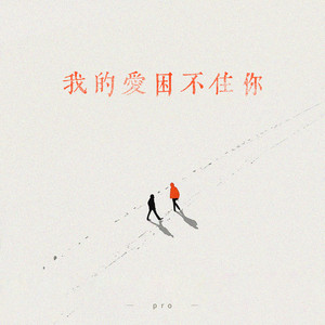 我的爱困不住你