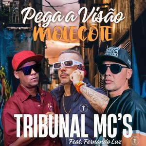 Pega a Visão Molecote