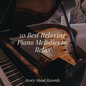 Shadowed Skies Beckon