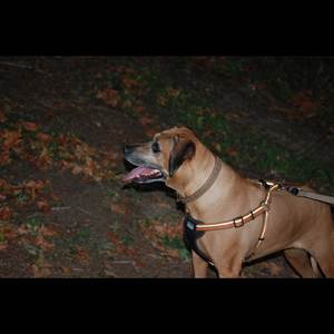 Put Your Phone Away Please I Am Trying to Talk About All My Problems Because I'm Not Doing Well at the Moment. (Don't Worry I'm Fine That's Just the Song Name)