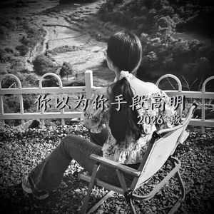 你以为你手段高明（2026版）