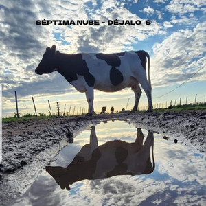 Déjalo S