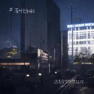 还是会突然想起你