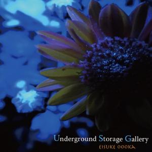 Underground storage gallery