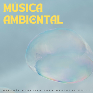 Música Ambiental Para Momentos De Paz Y Soledad