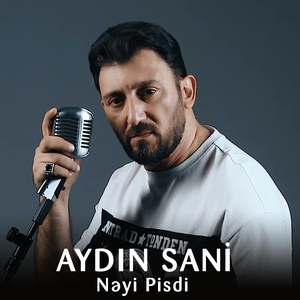 Nəyi Pisdi