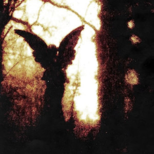 all i wanted x rinoplastika