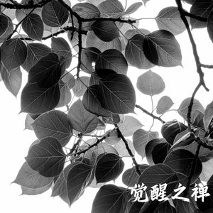 心灵清澈（静心安神曲）