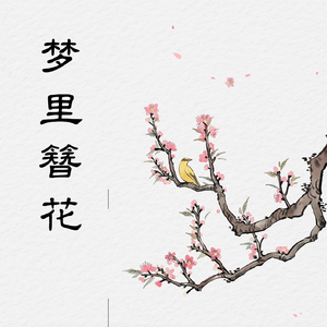 梦里簪花