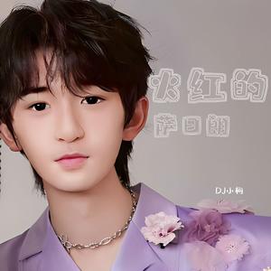 火红的萨日朗（DJ小柯版）