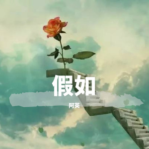 假如