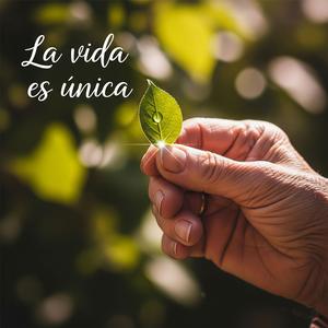 La Vida es Ùnica