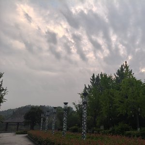 秋回思