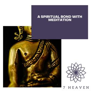 The Cosmic Path