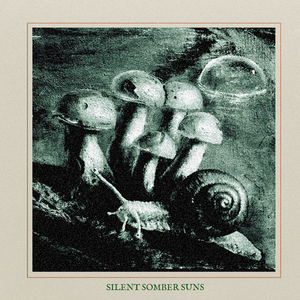 Silent Somber Suns
