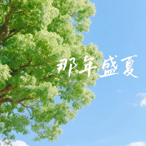 那年盛夏