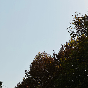 星期三或礼拜三