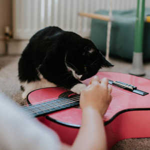 मैं फिर से उठता हूँ, हर राख से, हर आँसू से