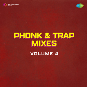 Roop Tera Mastana - Synthwave