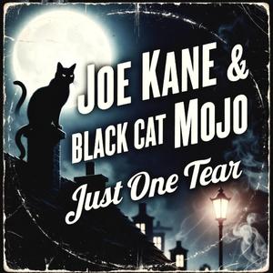 Just One Tear (INST) (feat. Black Cat Mojo)