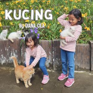 KUCING