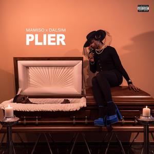 plier (feat. DALSIM)