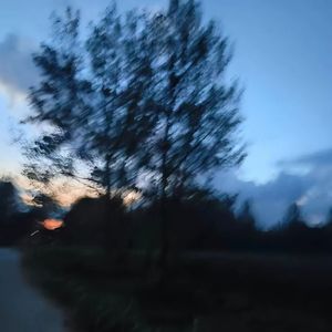 Sanhes kilamsa