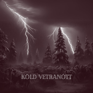 Brynjar Ólafsson - Köld Vetranótt (Instrumental)