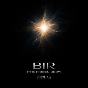 BIR – The Hidden Body