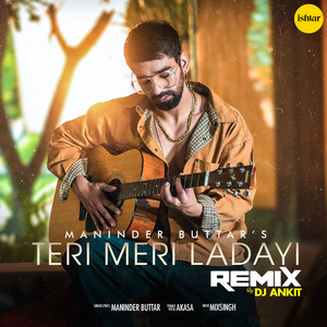 Teri Meri Ladayi (Remix Version)