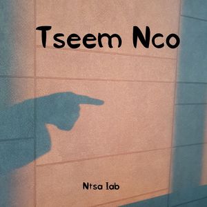 Tseem Nco