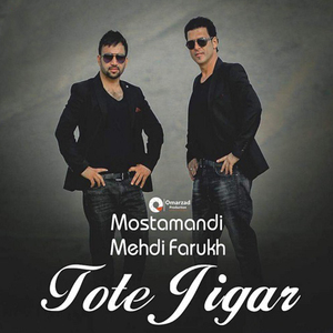 Tote Jigar