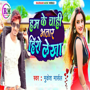 Hamke Chahi Bhatar Hero Lekha