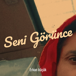 Seni Görünce