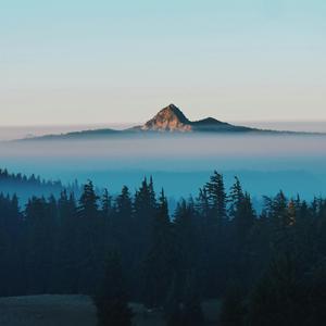 你当像鸟飞往你的山