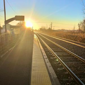GoTrain