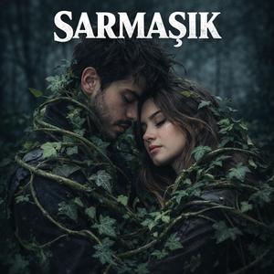 SARMAŞIK