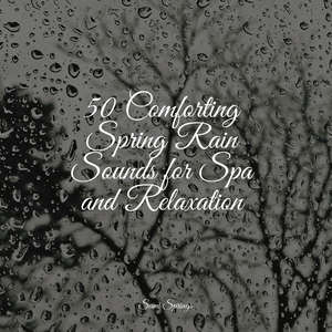 Forest, Night, Frogs