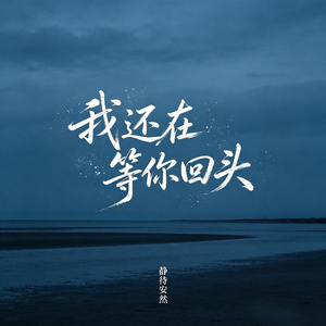 我还在等你回头