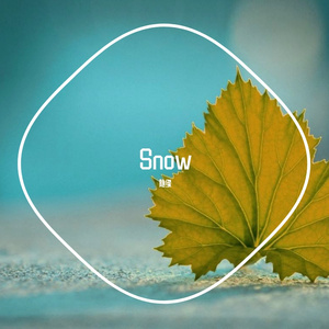 Snow (4)