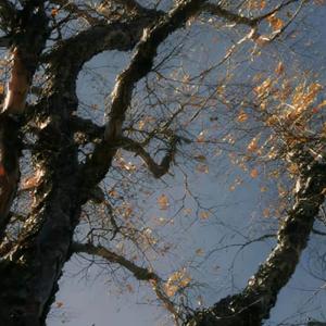 相见时难别亦难（说唱版）