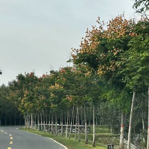 《有你在就刚好》 (1)