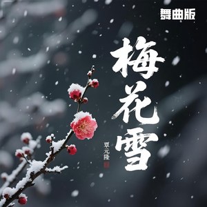 梅花雪 (舞曲版)