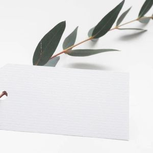 《我心向明月》