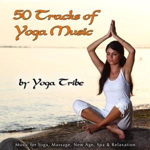 Tribal Grooves (Building Yoga Using Flute, Bass & Tabla)