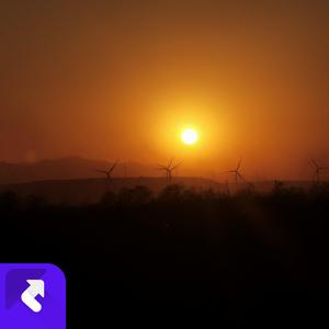 平行光年 (现场)