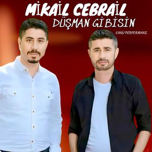 Düşman Gibisin (Canlı Performans)