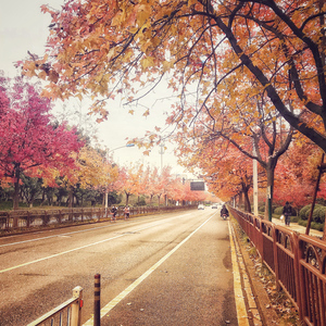 No.1 相遇-天青烟雨后