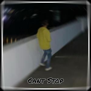 Cant Stop